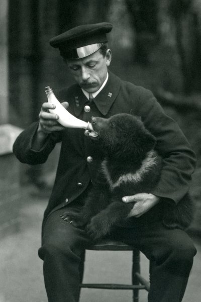 Un cachorro de oso pardo siendo alimentado con biberón por el cuidador, Leslie Martin Flewin, en el Zoológico de Londres en mayo de 1914 de Frederick William Bond